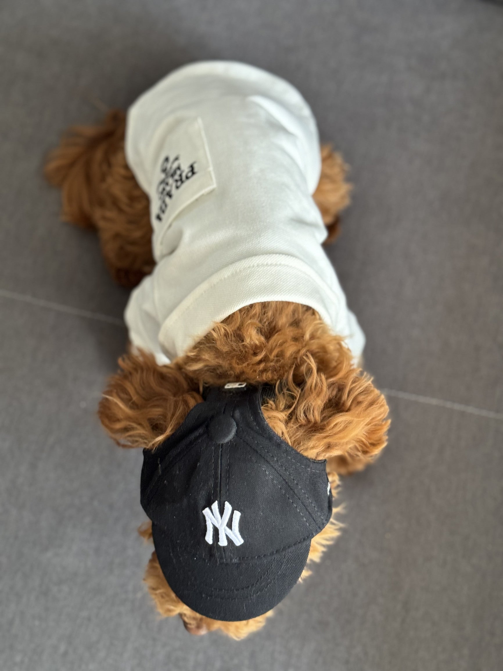 Кепка чорного кольору NY