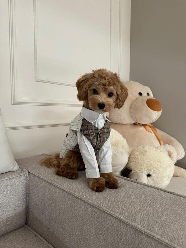 Смокінг біло-бежевого кольору Gentle Cream