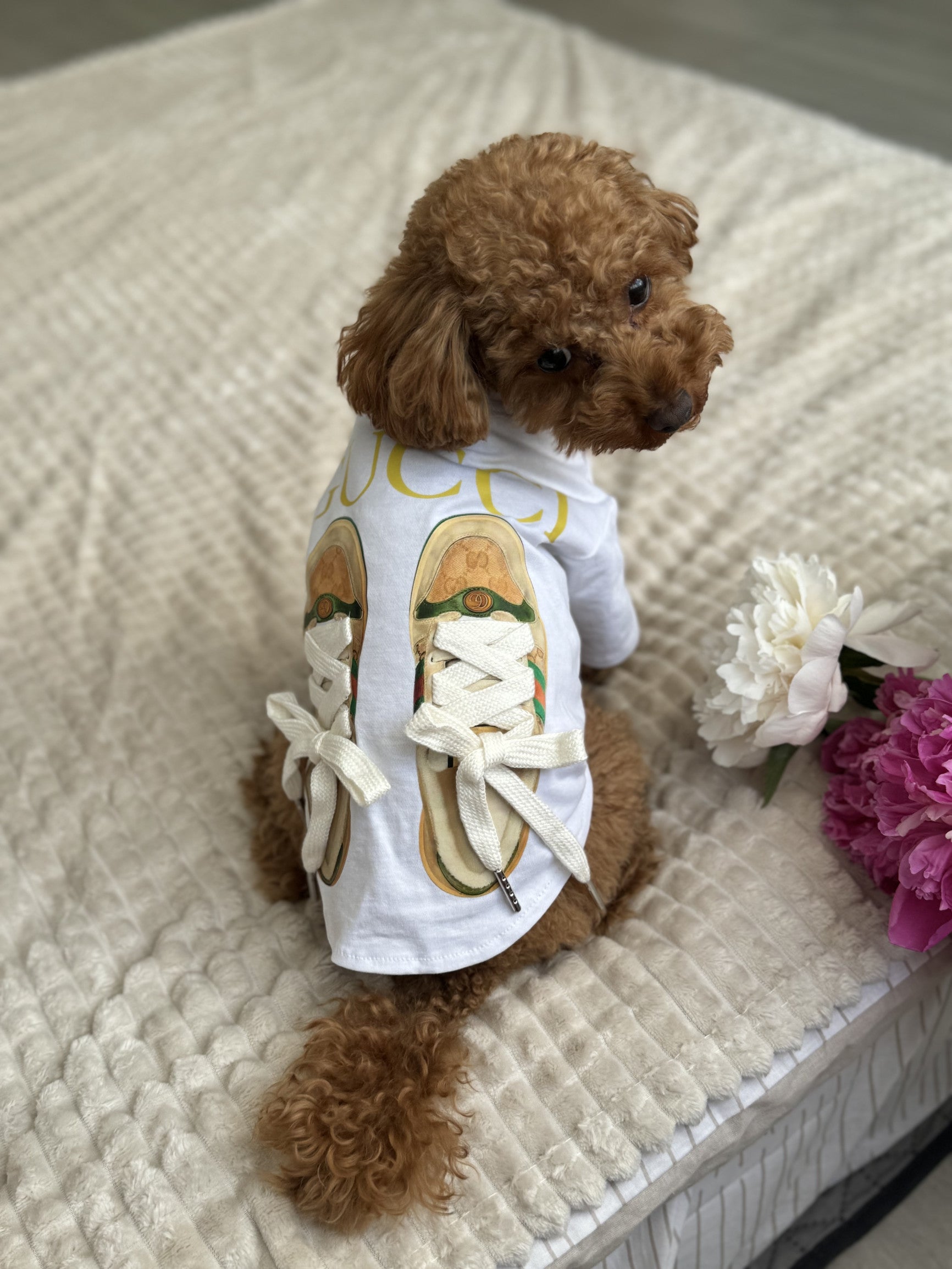 Футболка білого кольору з кедами та принтом Gucci