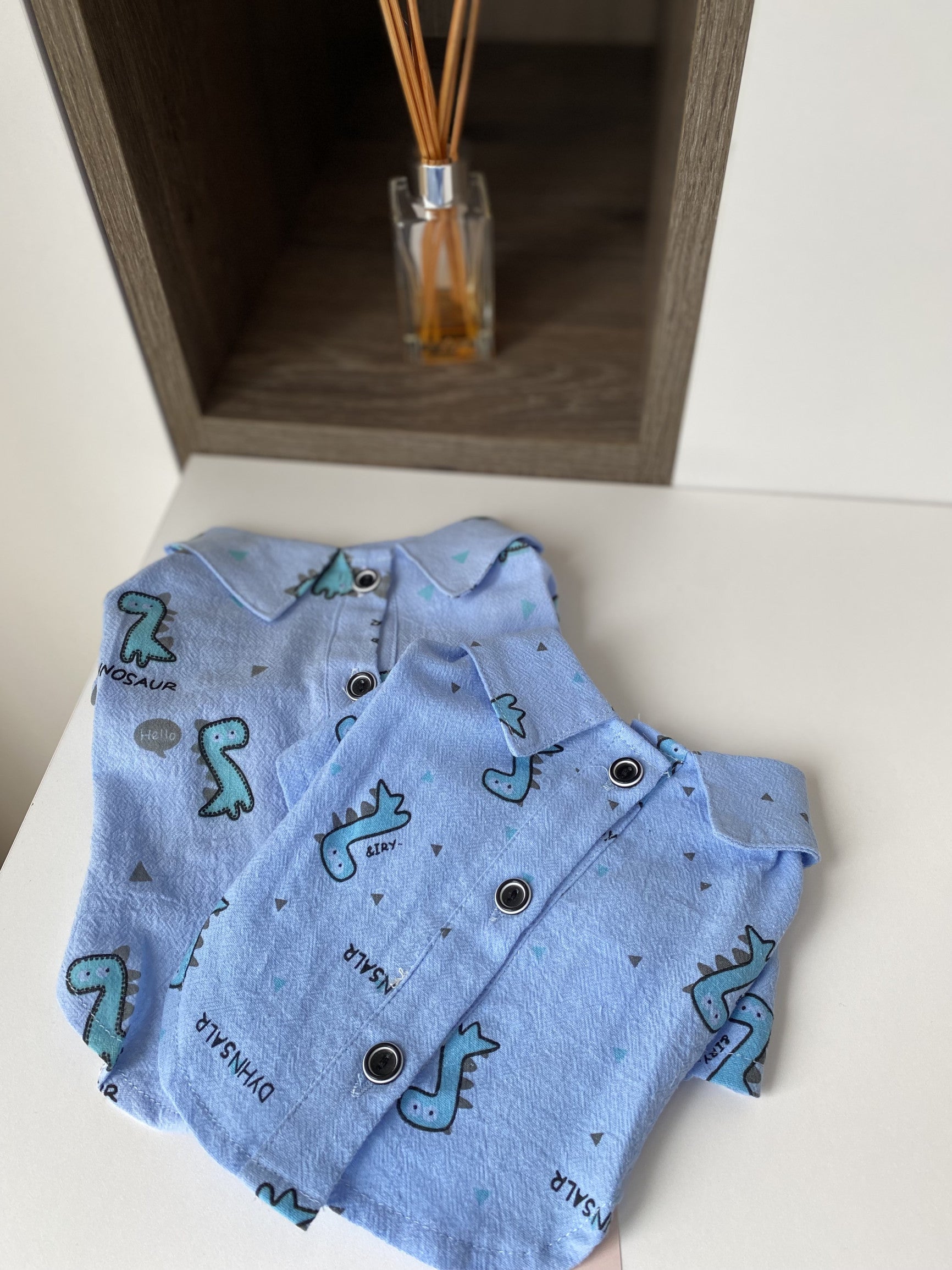 Сорочка блакитного кольору з принтом Діно