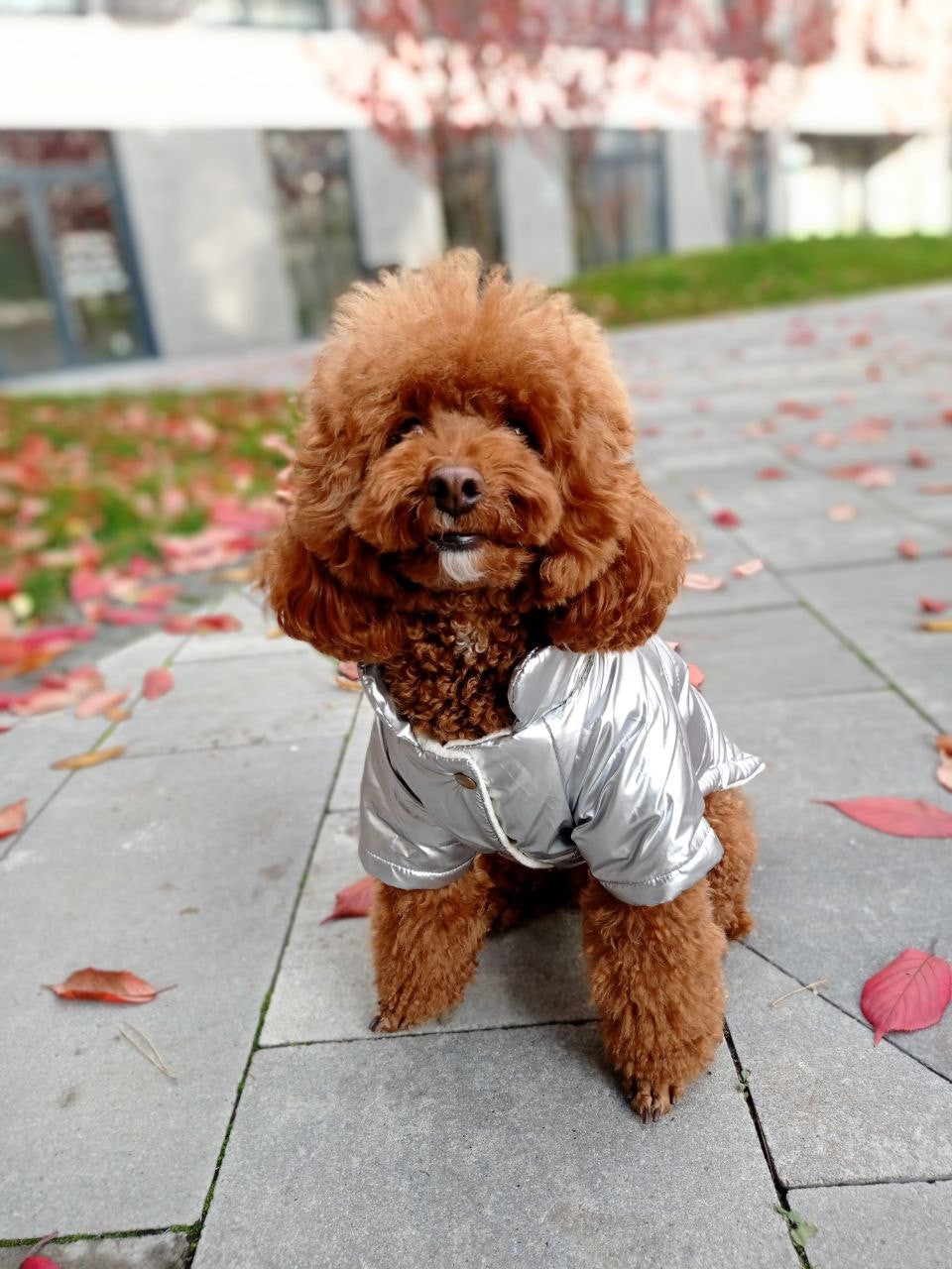 Куртка срібного кольору Basic