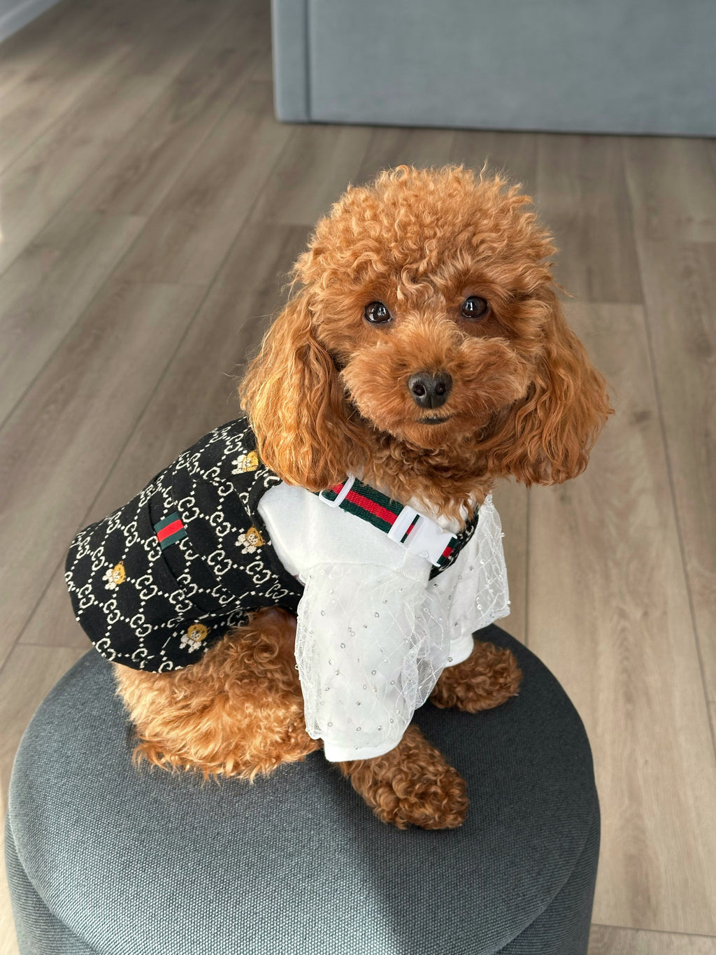 Black sundress with GG Bear print