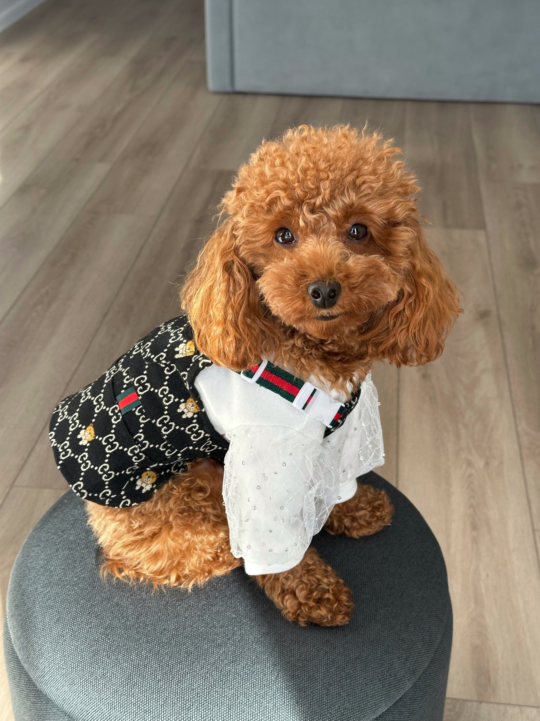 Сарафан чорного кольору з принтом GG Bear