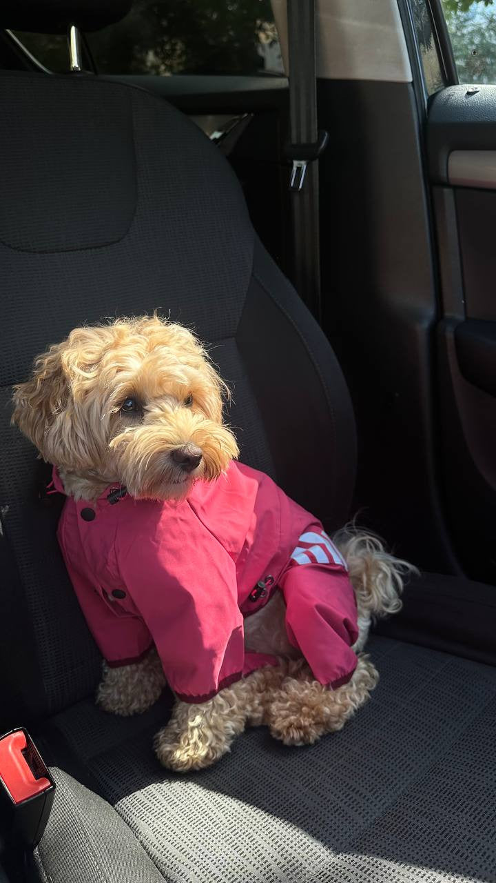 Cheepet raspberry raincoat