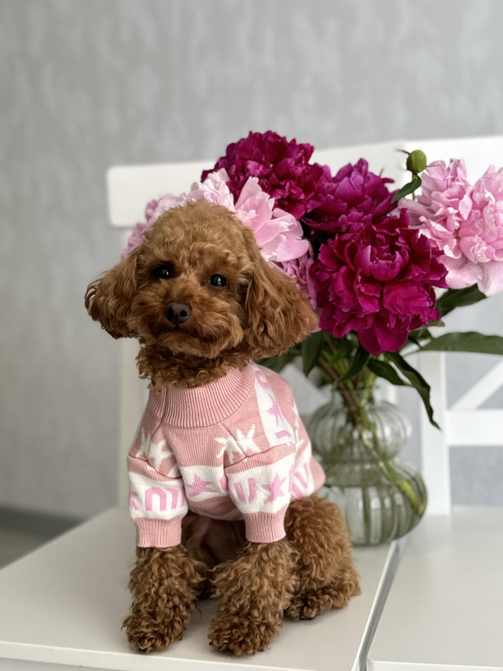 Pink sweater with Miu Miu print