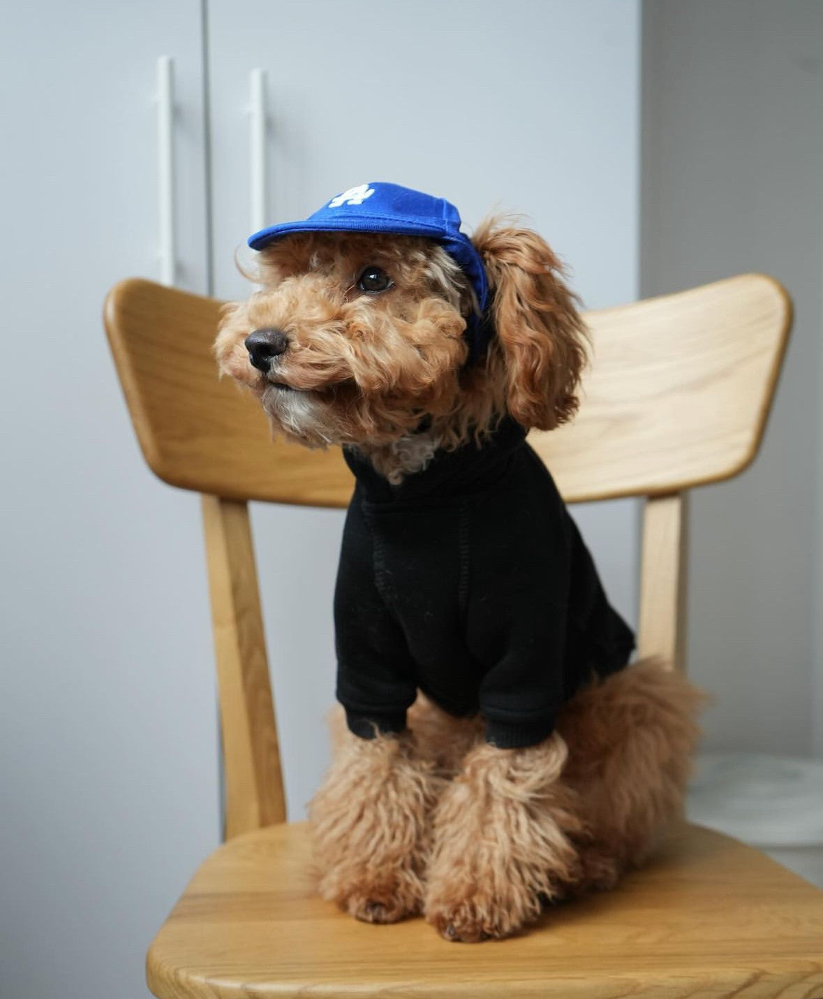 Кепка синього кольору LA