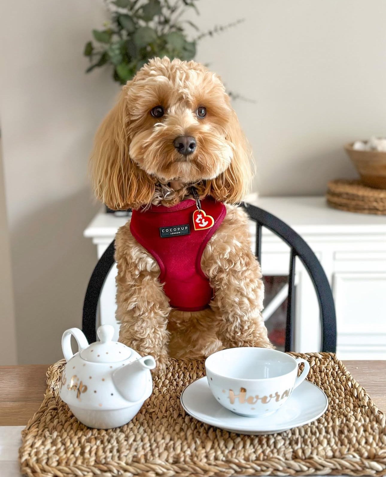 Шлея для собак Cocopup Luxe Velvet - Berry Red