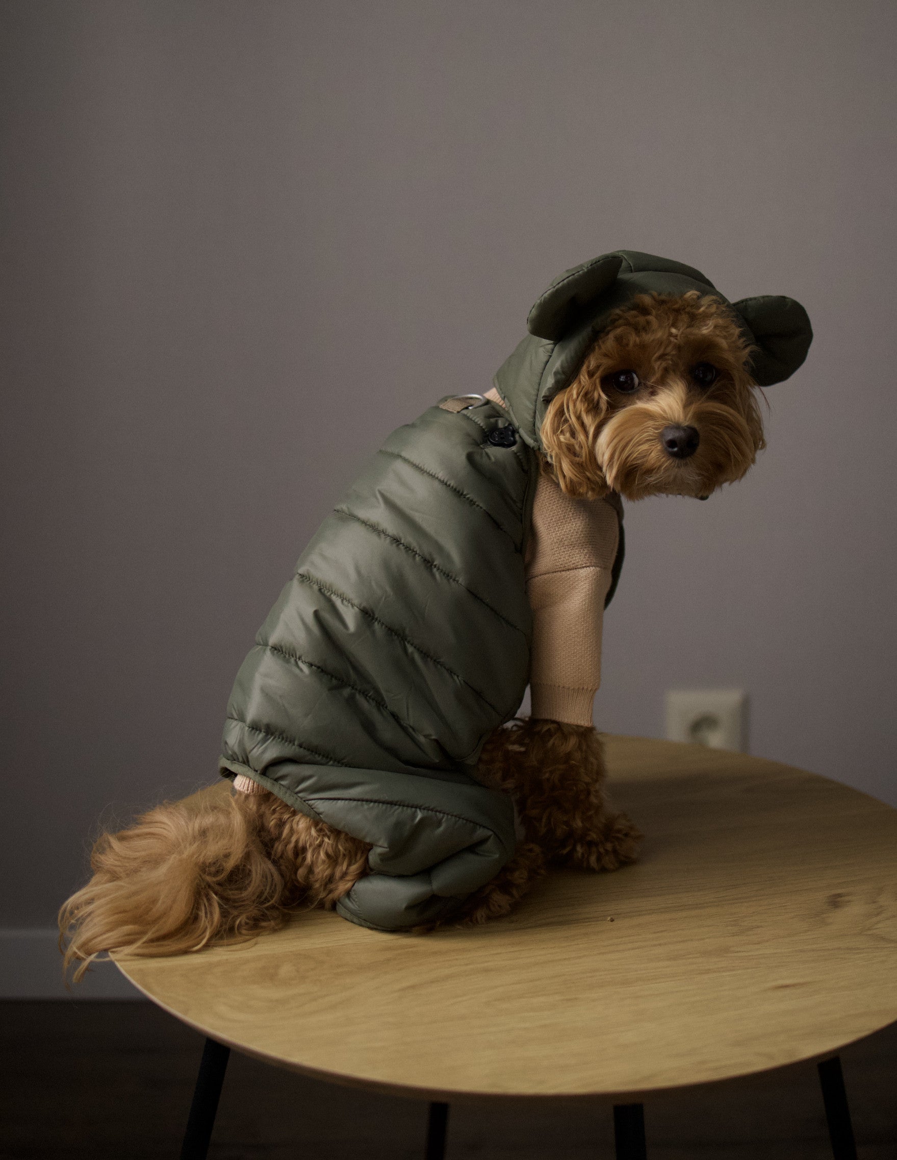 Штани зеленого кольору Cheepet