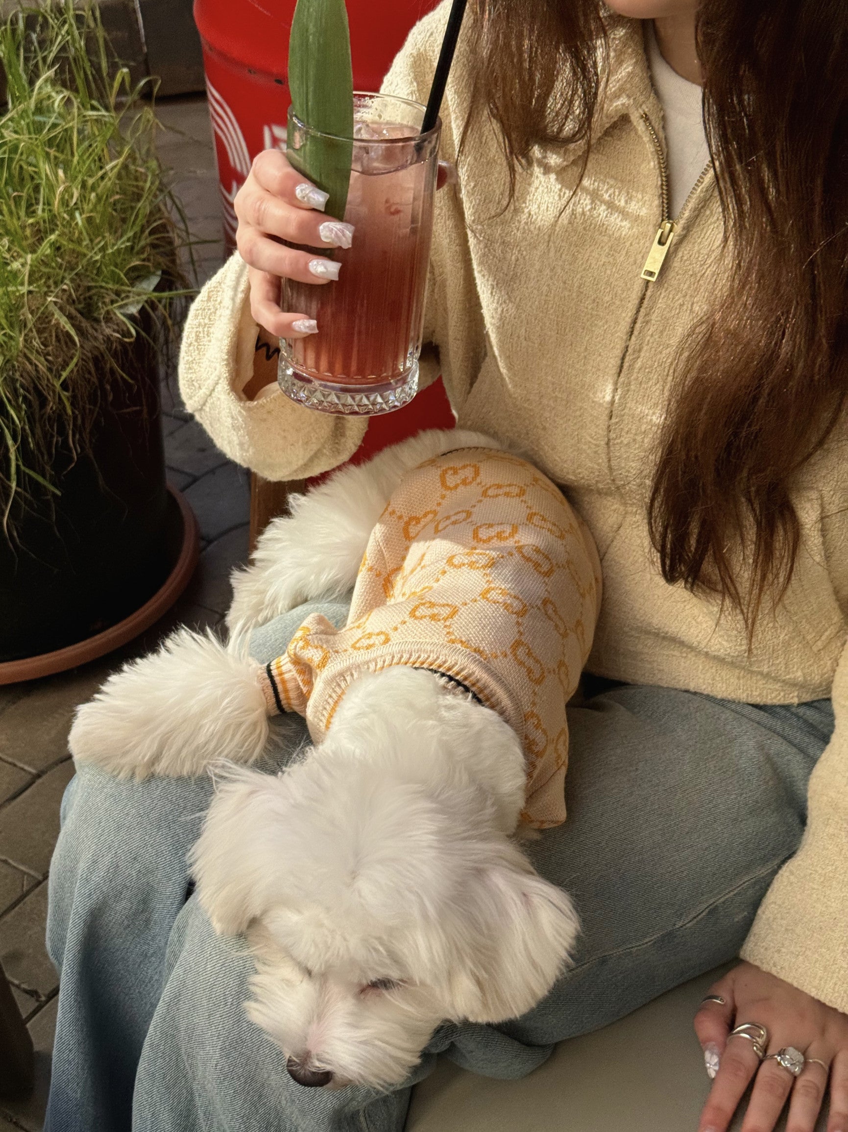 Кардиган бежевого кольору з принтом Gucci