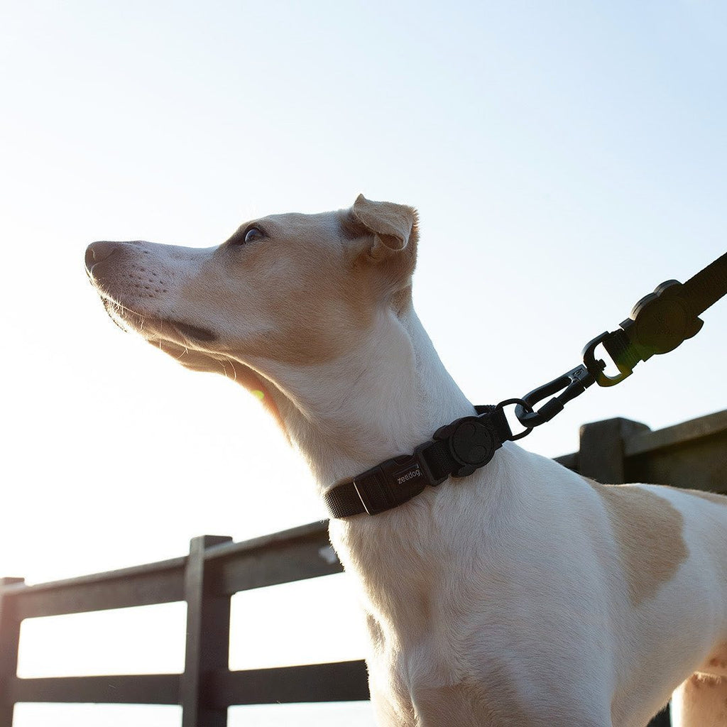 Повідець для собак Zee.Dog - Gotham Leash