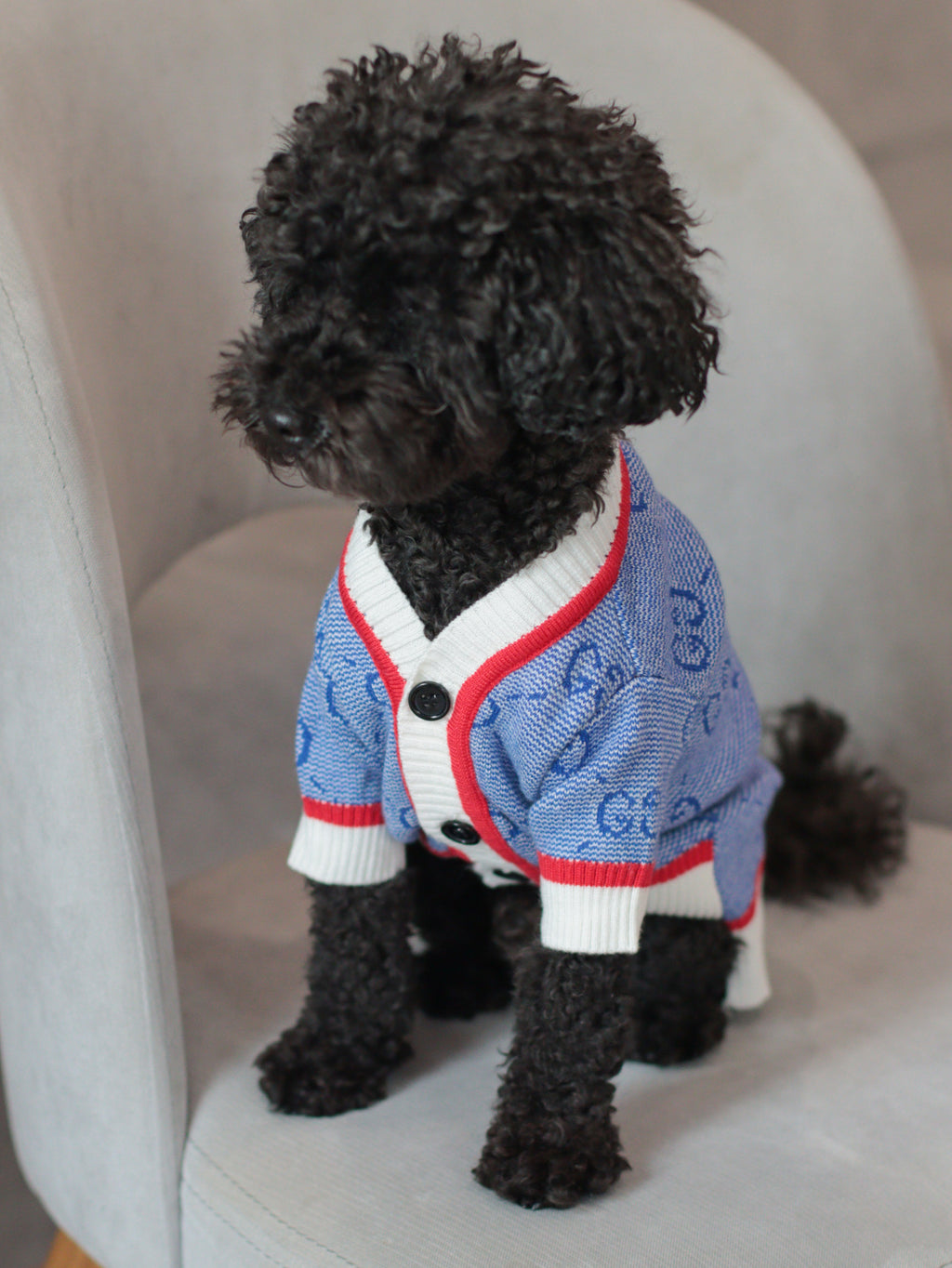 Blue cardigan with Gucci print