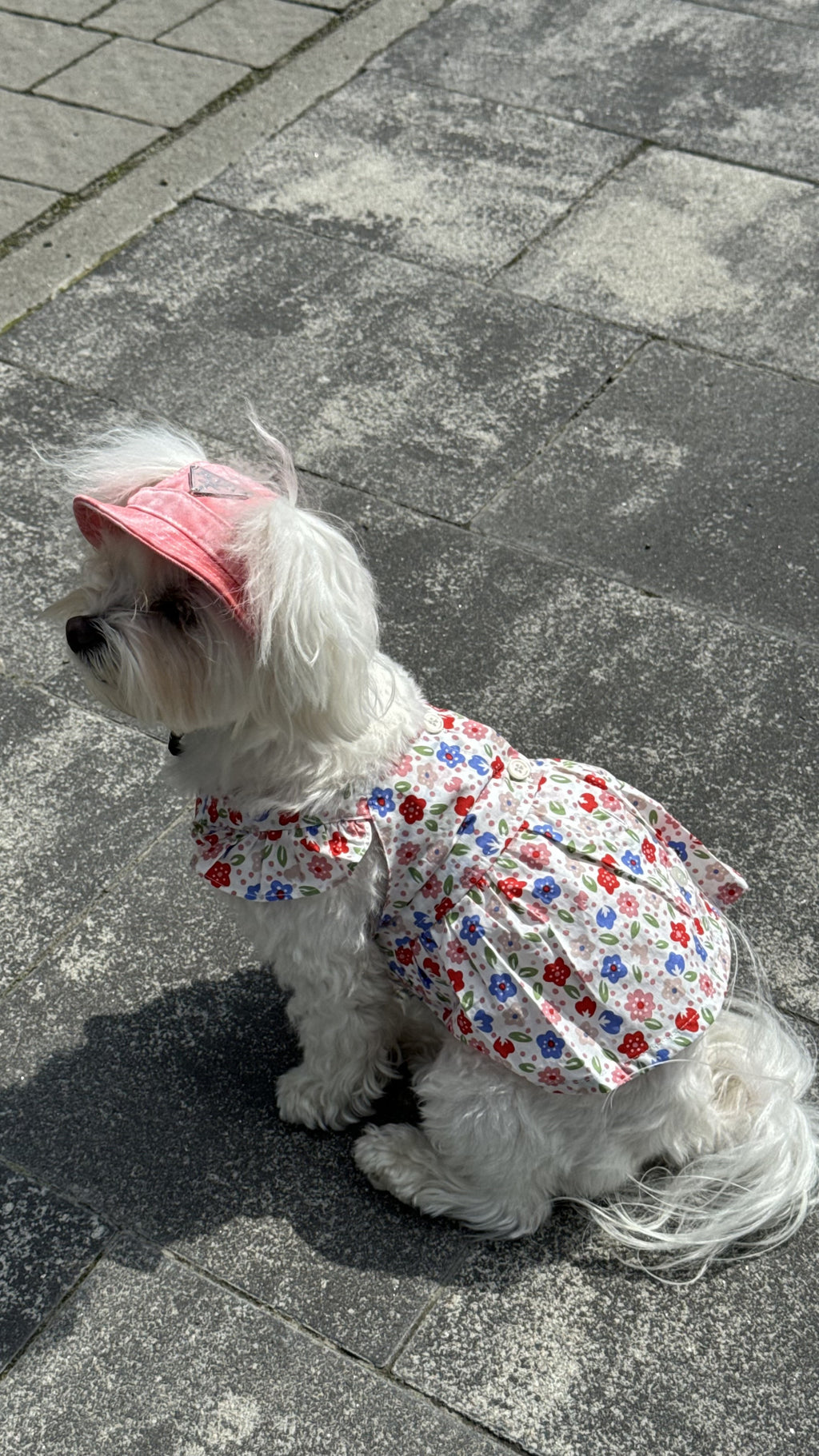 White floral sundress Floral Paradise