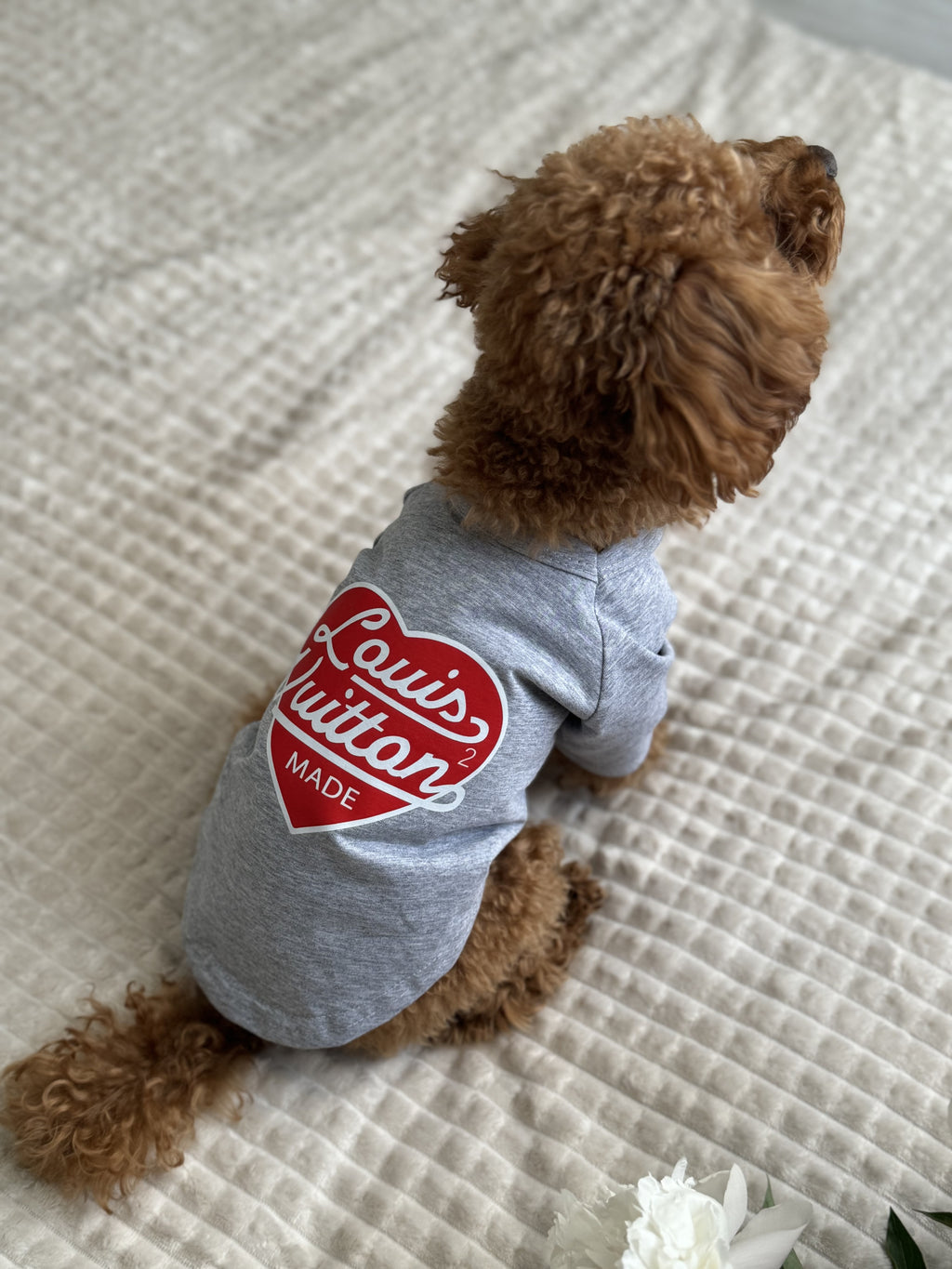 Gray T-shirt with LV print