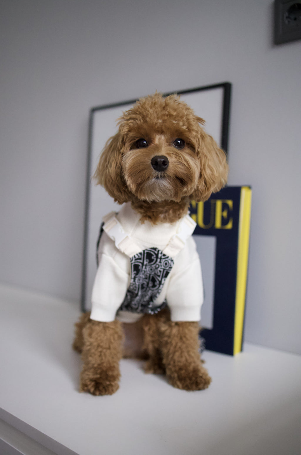 Штани чорного кольору Dior Style