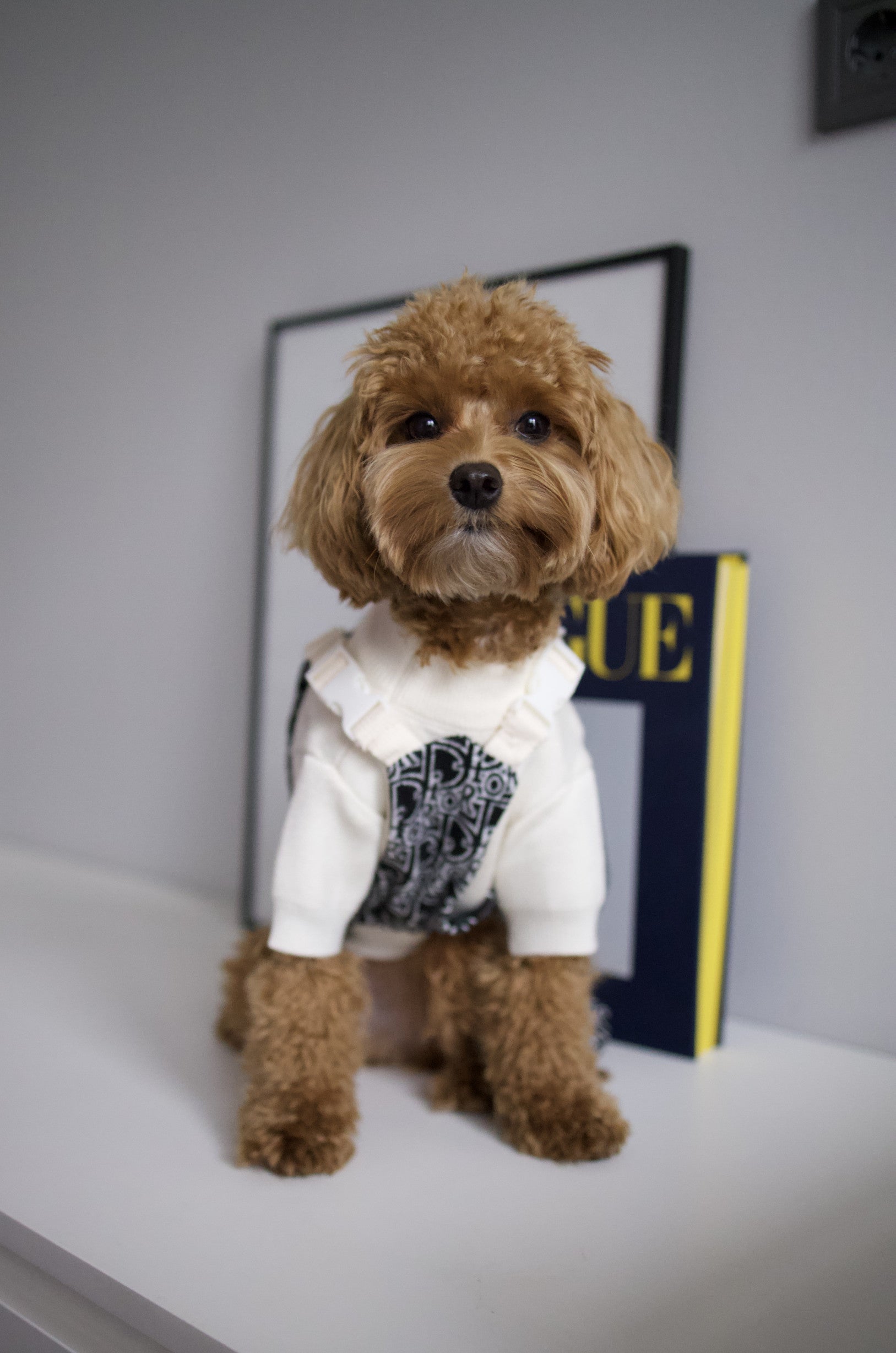 Штани чорного кольору Dior Style