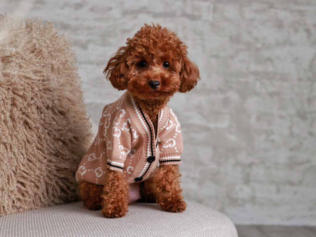 Brown cardigan with Gucci print