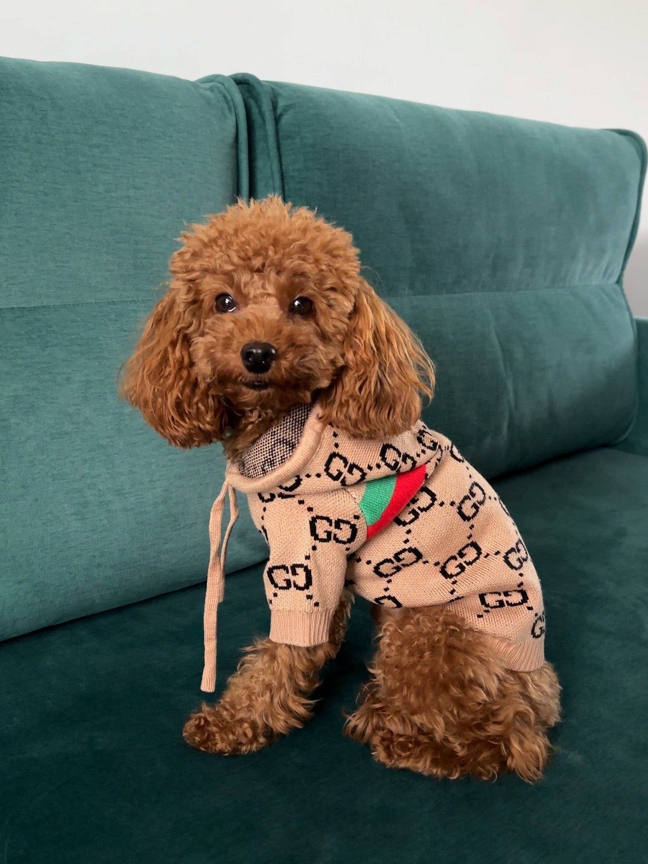 Худі бежевого кольору з принтом Gucci