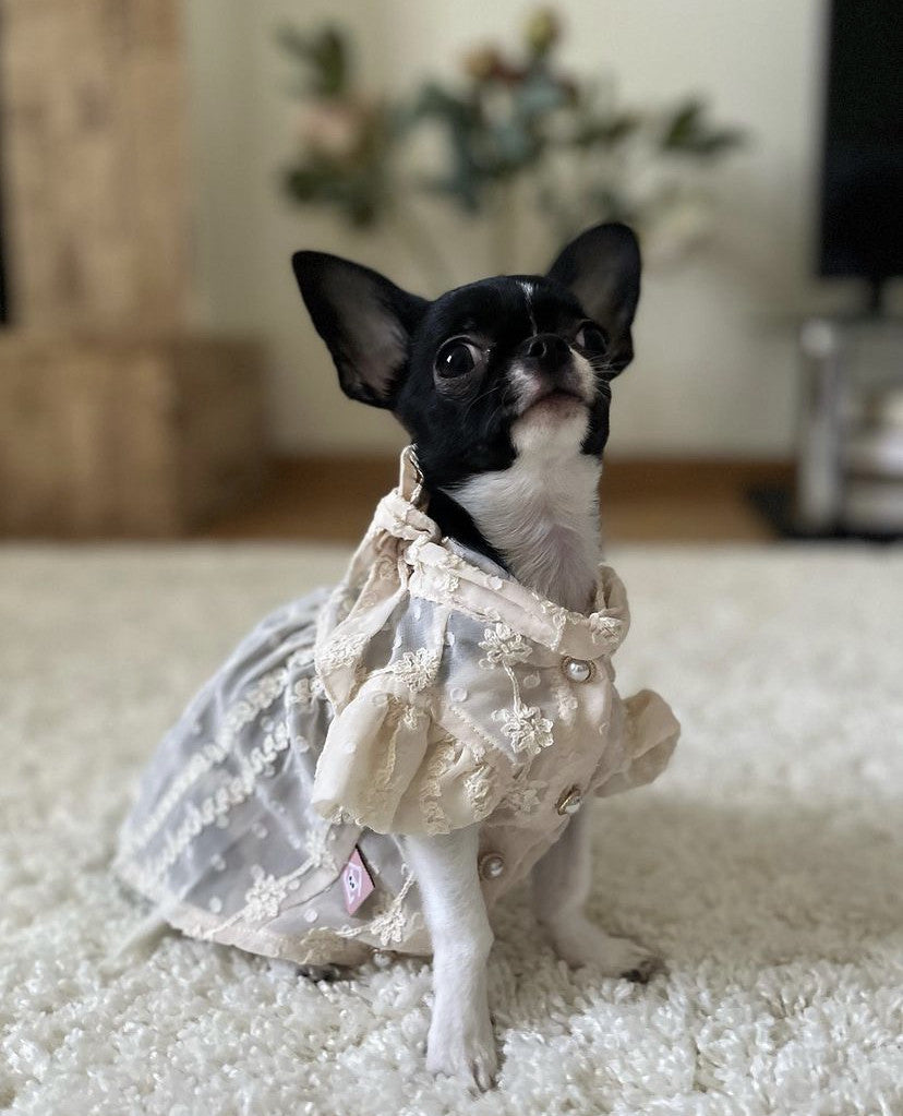 Сукня кольору айворі Chiffon