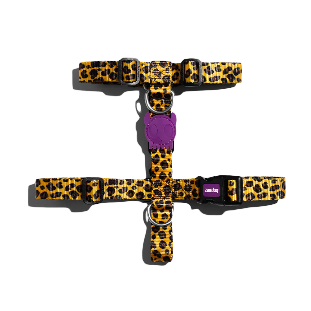 Шлея для собак Zee.Dog - Honey H-Harness