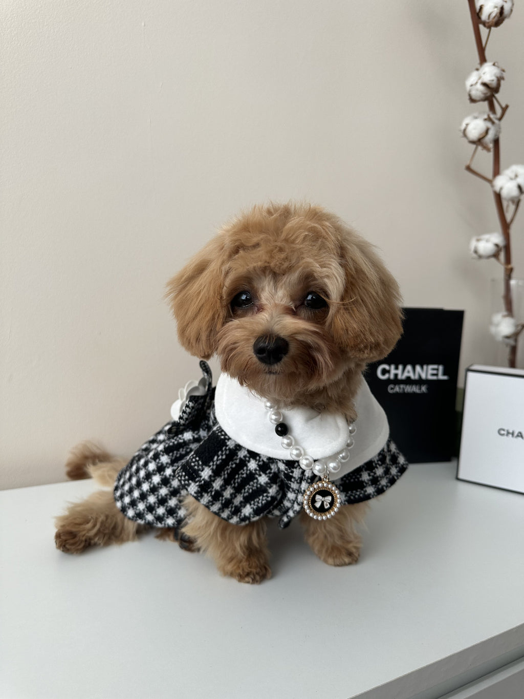 Black and white dress Coco Elegance