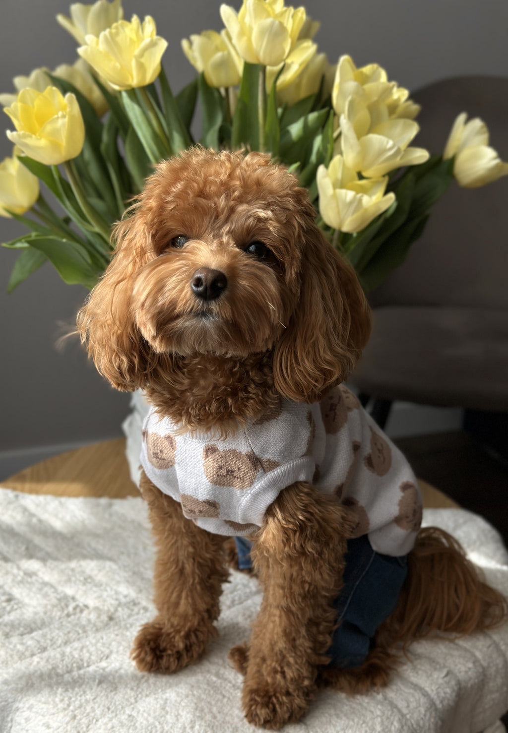 Светр-безрукавка білого кольору з принтом Bear