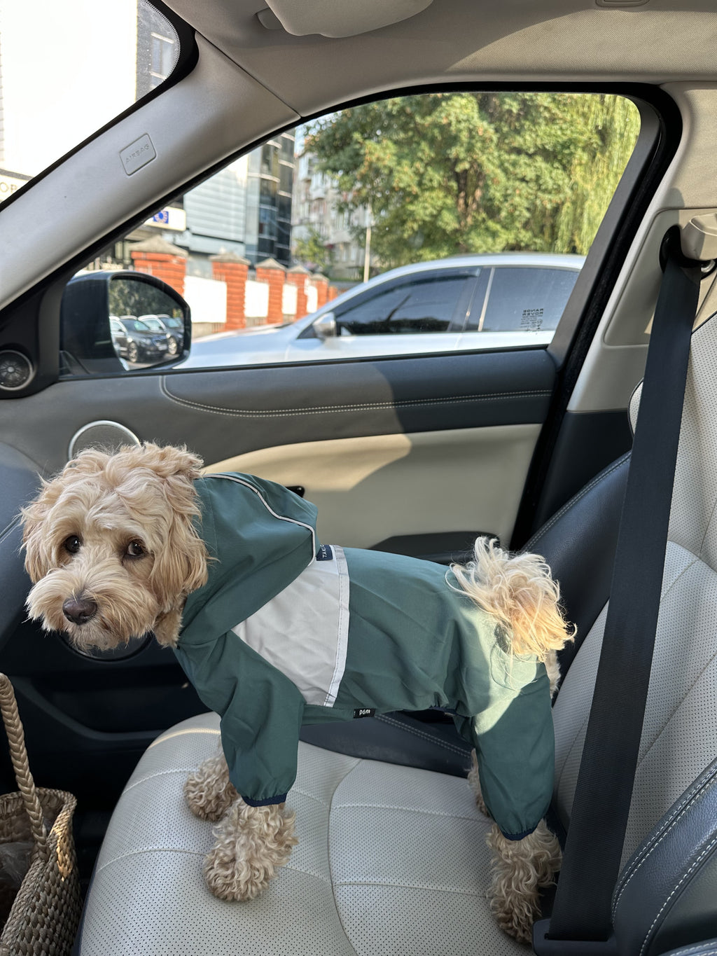 Green raincoat Take easy