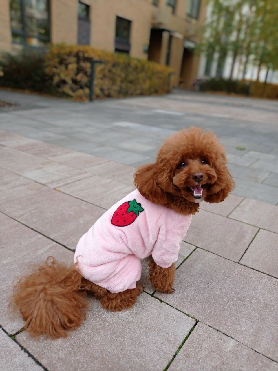 Berry Mood pink pajama jumpsuit