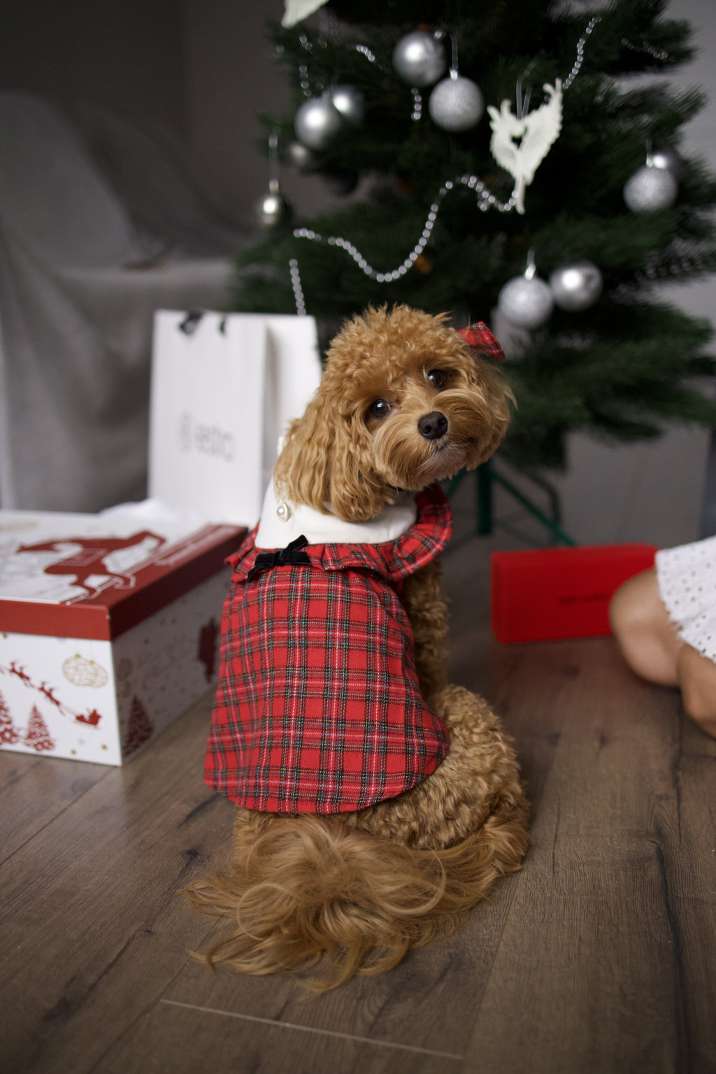 Red dress with checkered print
