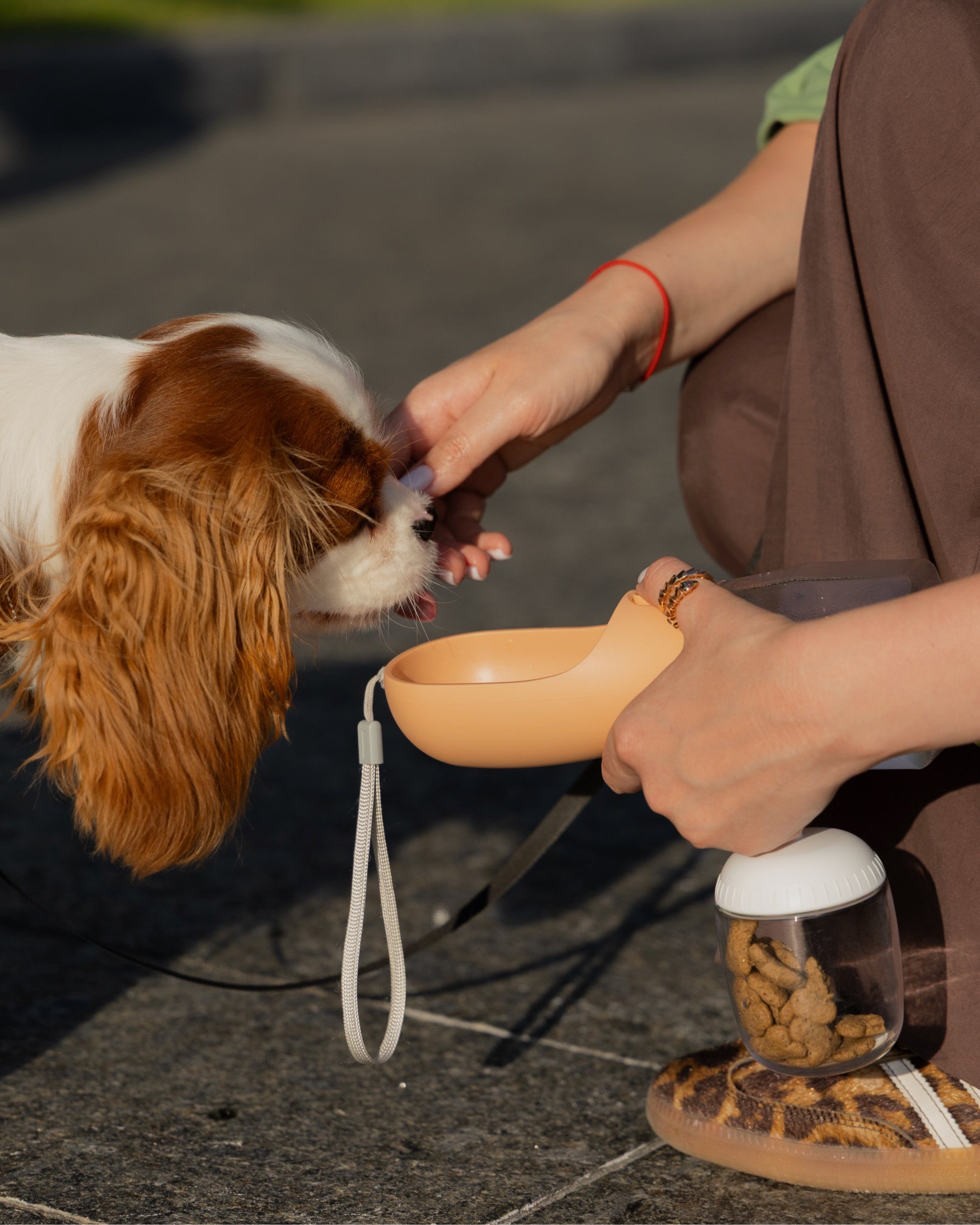 Поїлка 3в1 персикового кольору Peach Pup