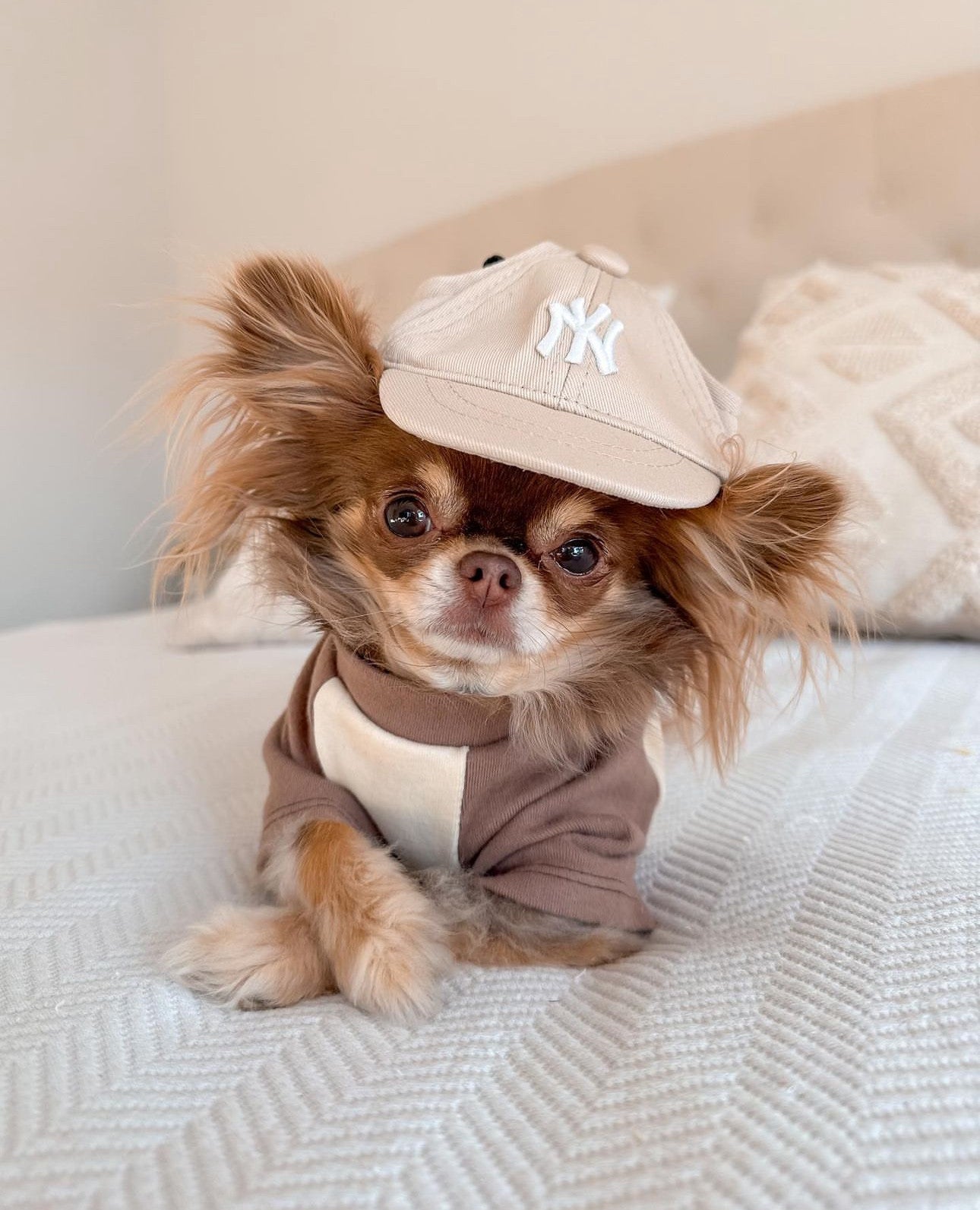 Футболка вершкового кольору Nude