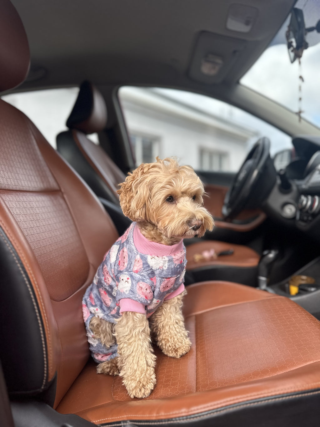 Комбінезон-піжама сірого кольору Kitty Dreams