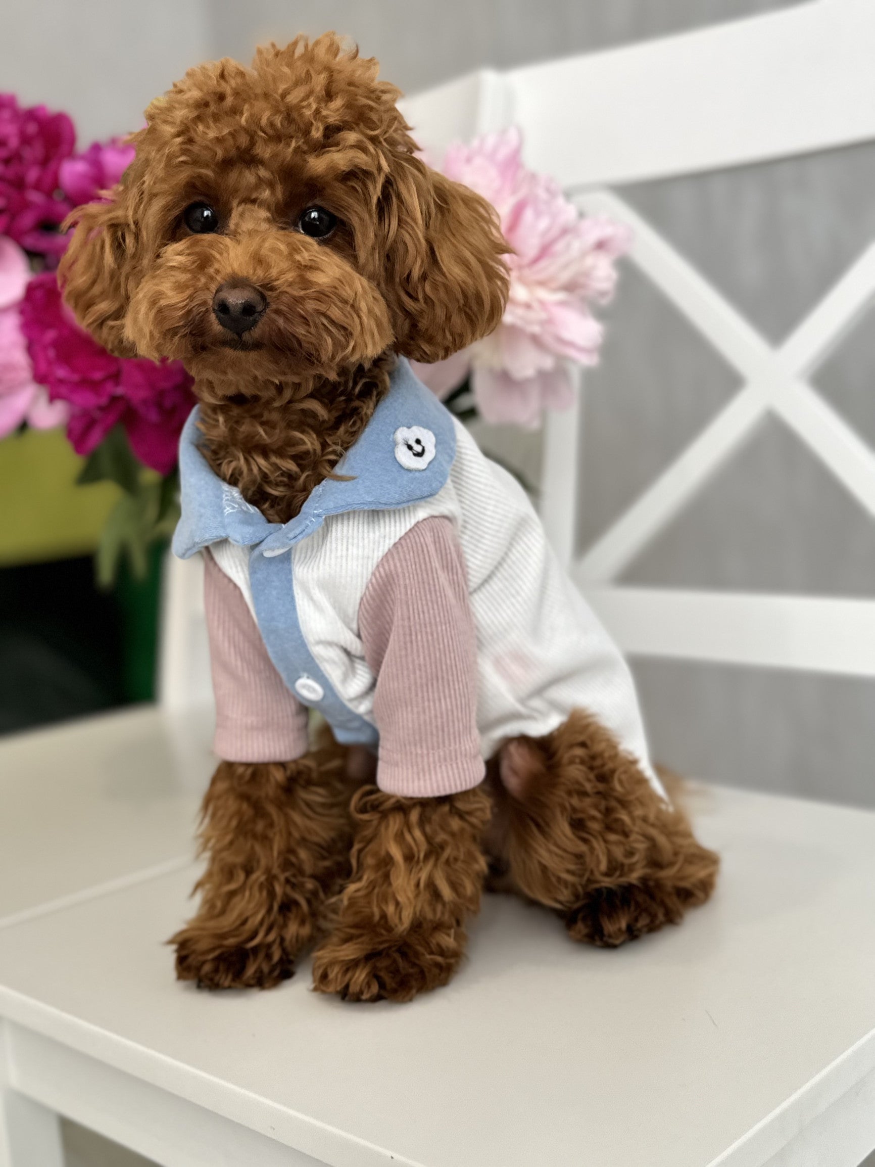 Футболка білого кольору Cloud