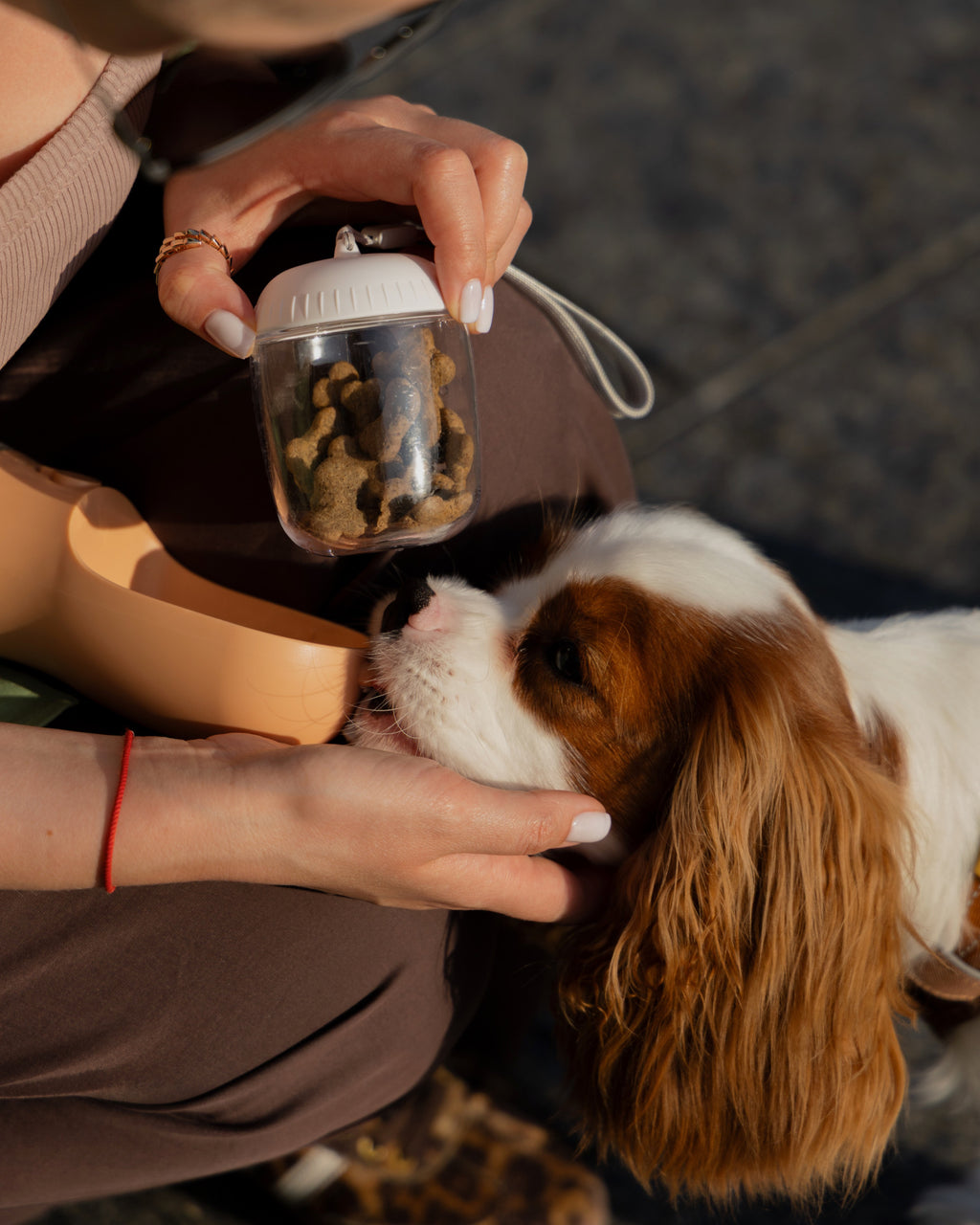 Поїлка 3в1 персикового кольору Peach Pup