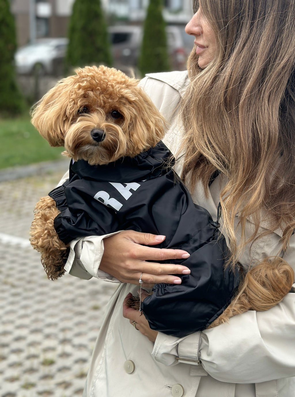 Black raincoat Is Pet