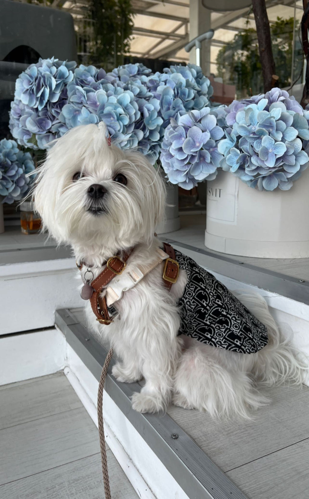 Black sundress with Dior print