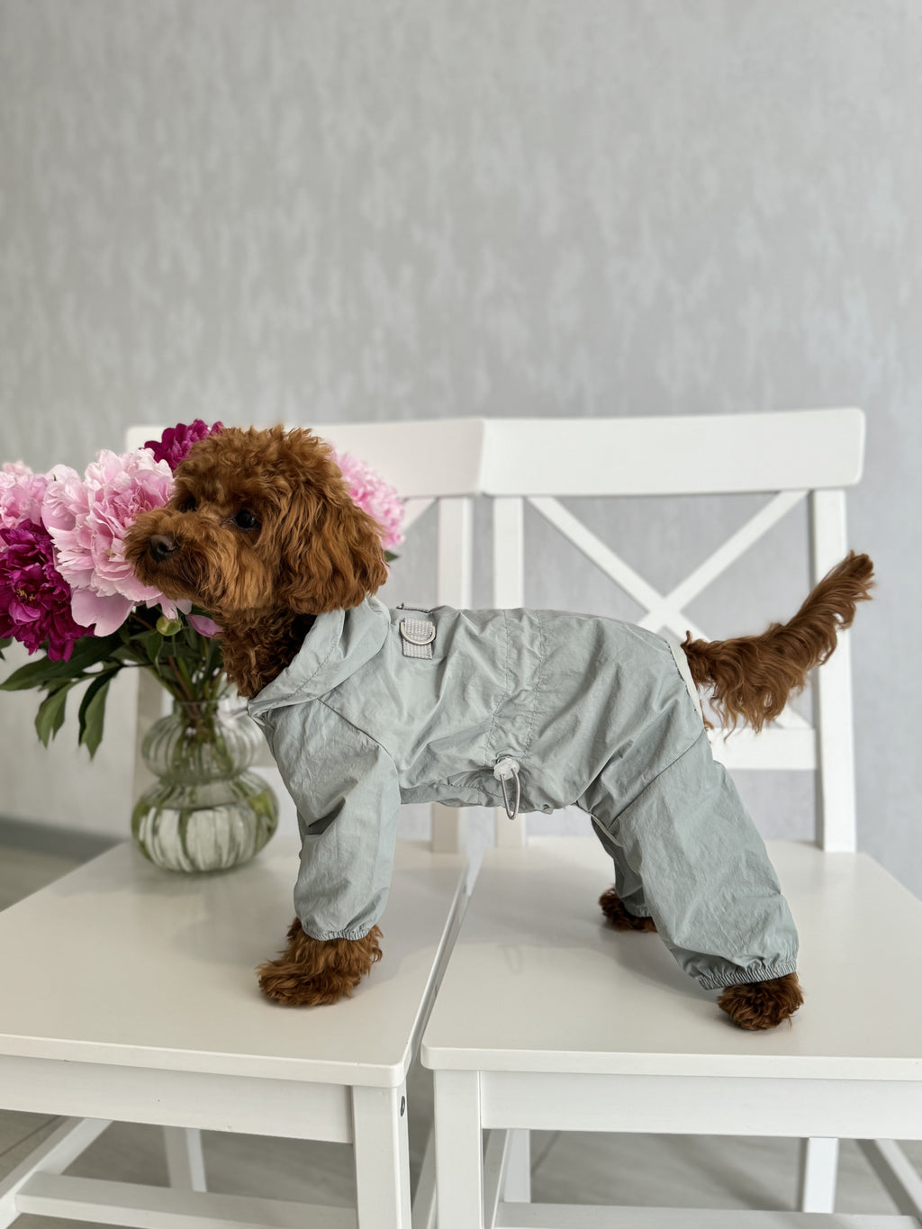 Дощовик мятного кольору Cheepet