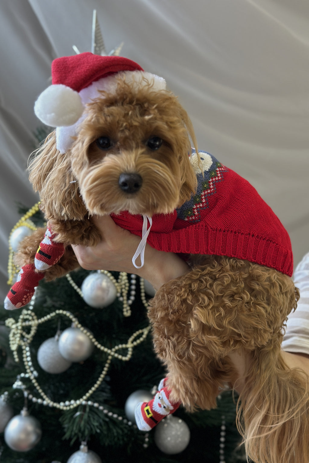 Светр червоного кольору з принтом Санта