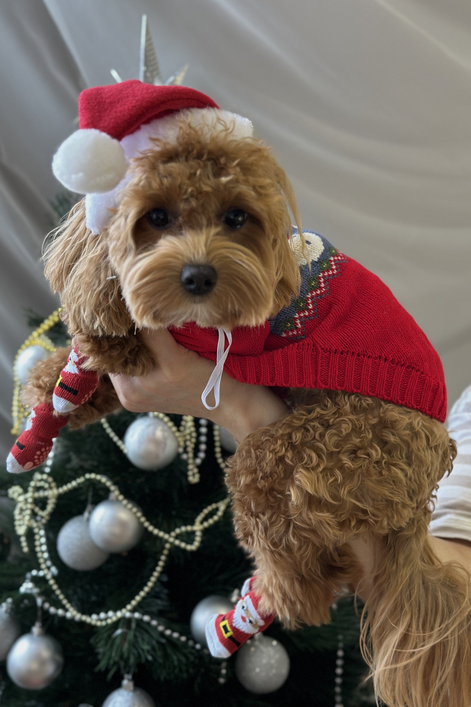 Светр червоного кольору з принтом Санта