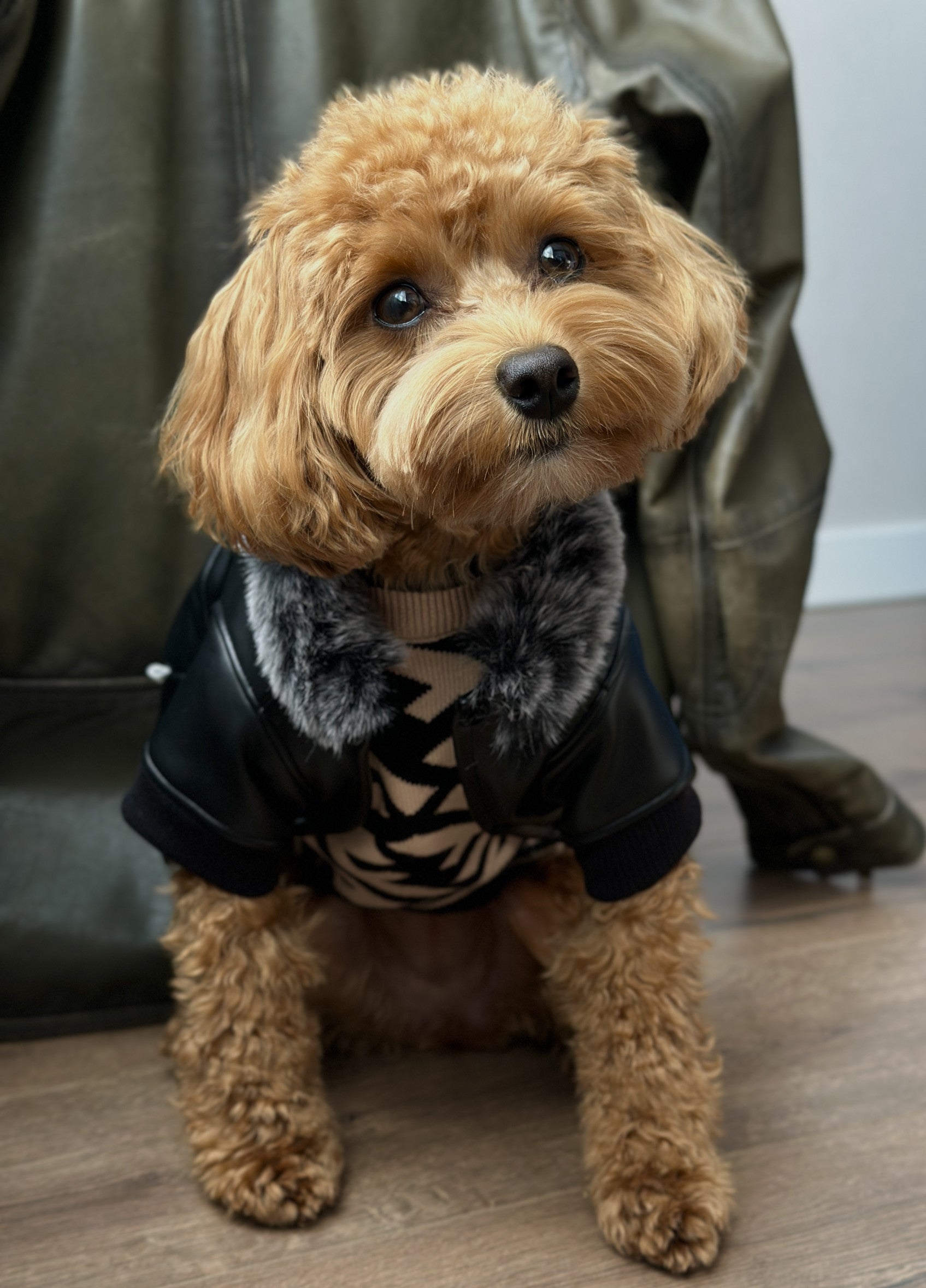 Куртка чорного кольору Leather jacket