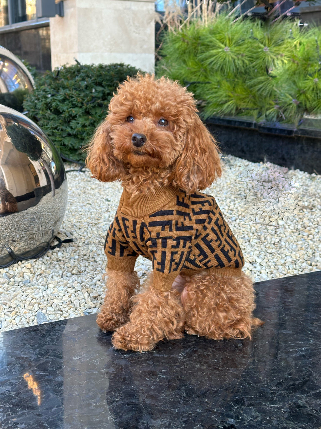 Brown sweater with Fendi print
