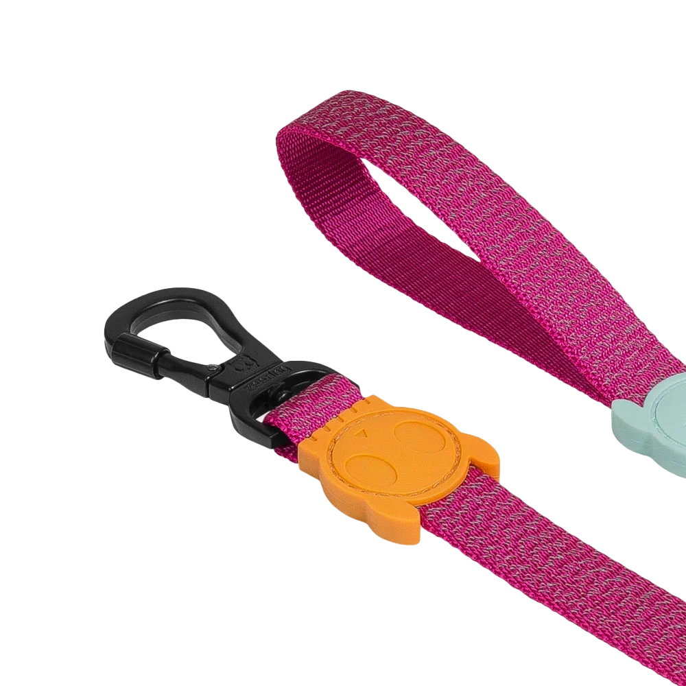 Повідець для собак світловідбиваючий Zee.Dog - Nox Sidus