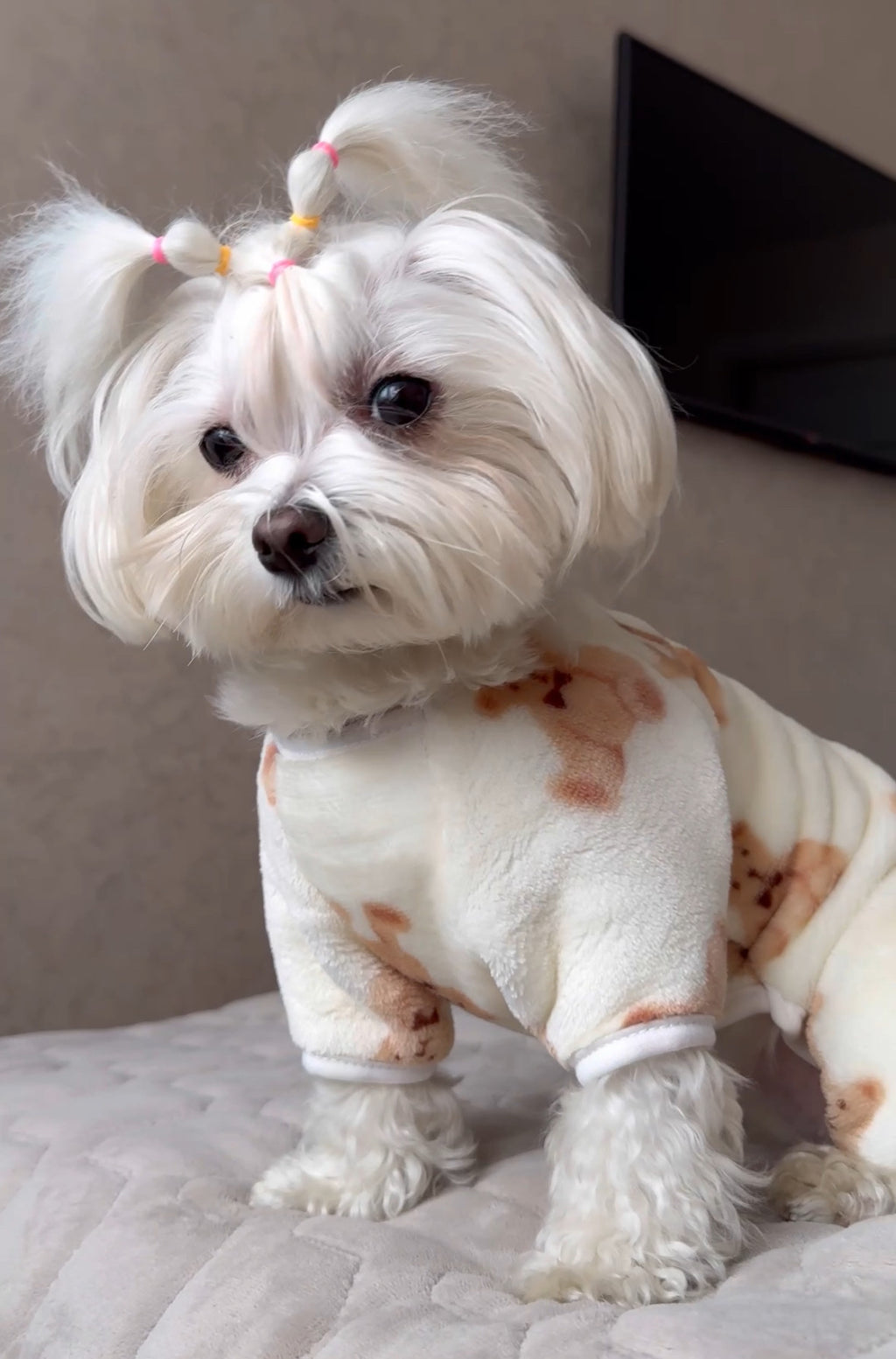 Teddy Vanilla milky pajama jumpsuit