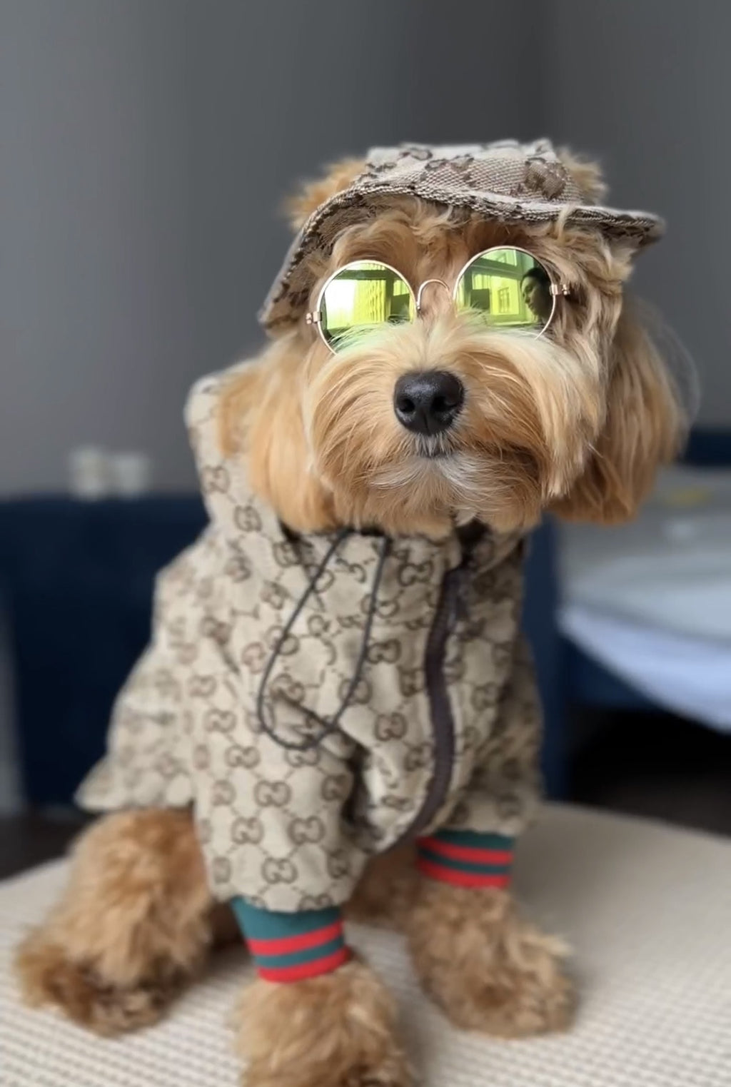 Beige Denim Gucci Panama Hat