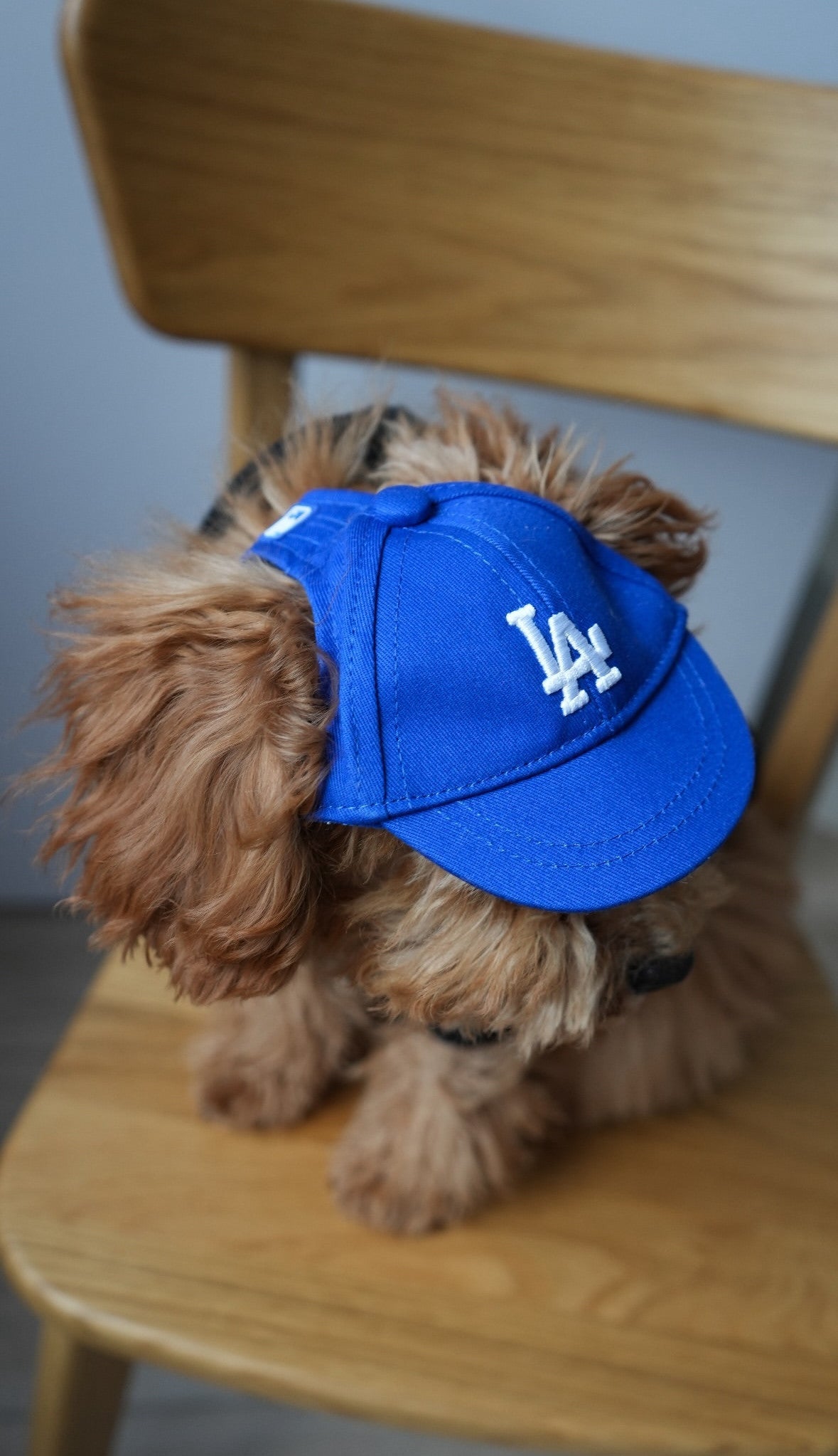 Кепка синього кольору LA