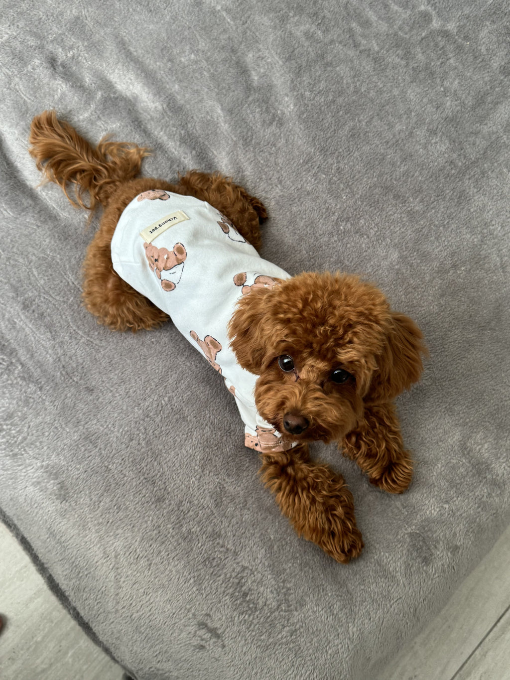 White T-shirt with Teddy print