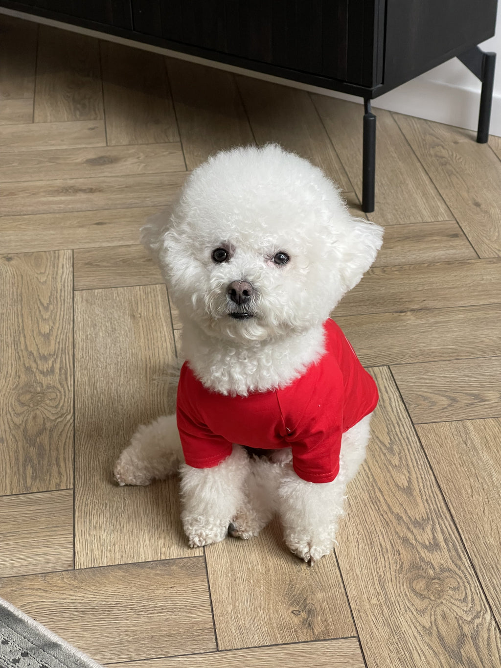 Red T-shirt with Dior Paris print
