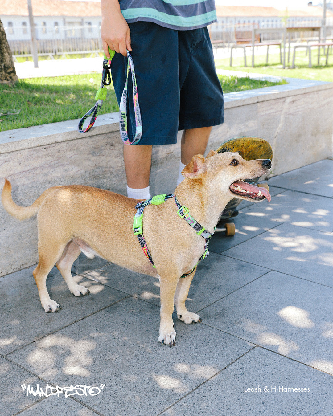 Шлея для собак Zee.Dog - Lords Manifesto H- Harness