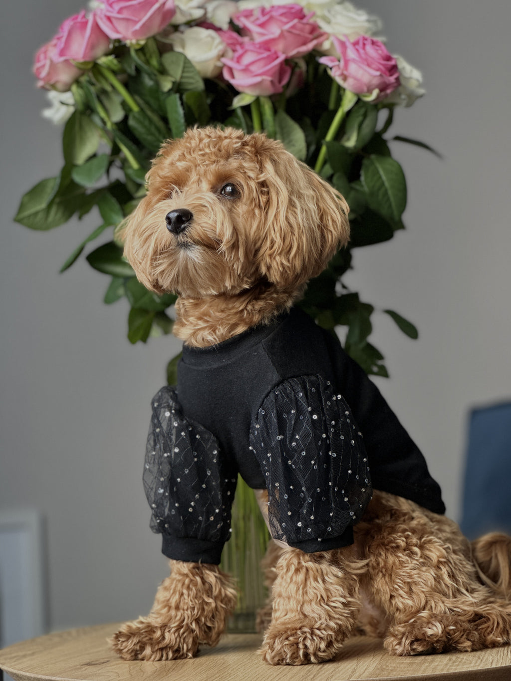 Black T-shirt with sequins
