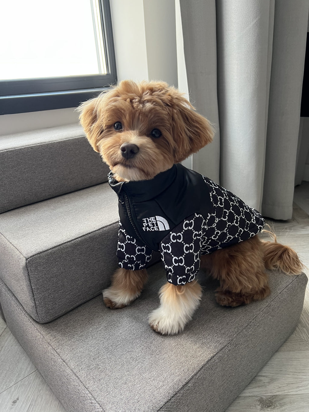 Куртка чорного кольору The pet face GG