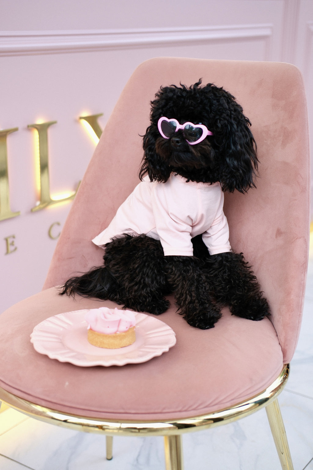 Pink T-shirt with Dior Paris print